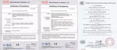 Chengdu Youlike Electric Co., Ltd.